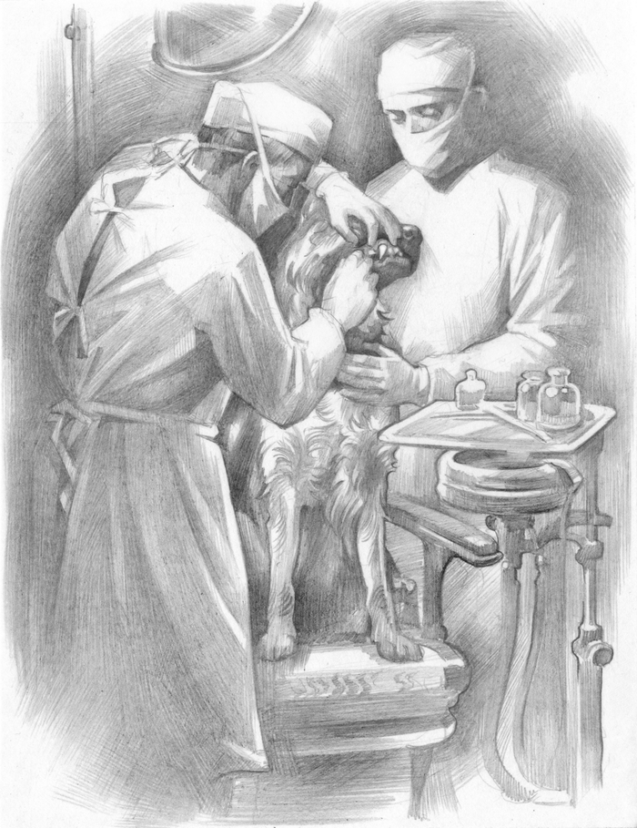 Яранг-Золотой Зуб