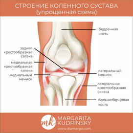 обучающая графика