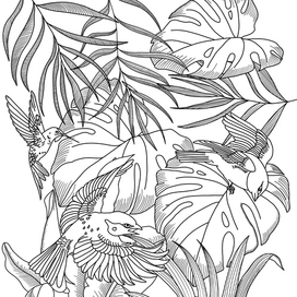 листья и птицы