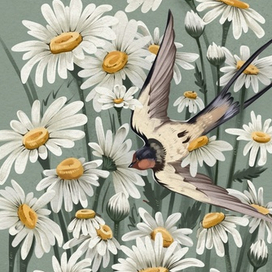 Открытка с ромашками и ласточкой