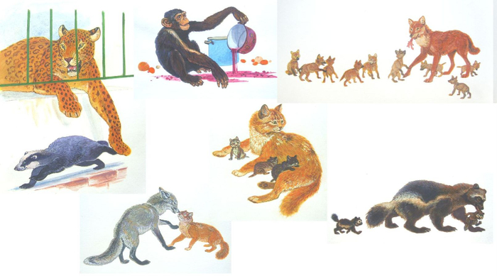 илл. для издательства "Стрекоза"