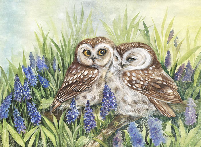 Весенние совушки