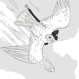 Котенок Зевс верхом на соколе Андрее