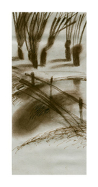 Так много большой воды