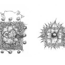Из серии ‎"THE BIRTH AND FORMATION OF.." "РОЖДЕНИЕ И ФОРМИРОВАНИЕ.."