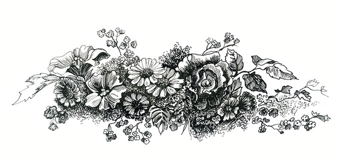 Заставка для книги