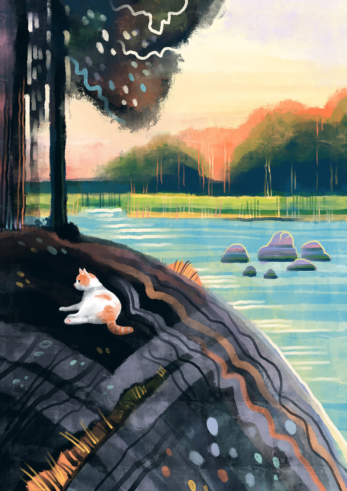 Кот на острове