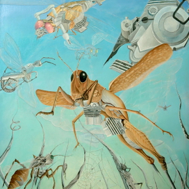 ENTOMO НЕБЕСНЫХ ДОРОГ.