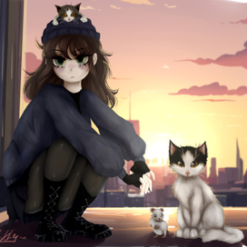 коты и коты