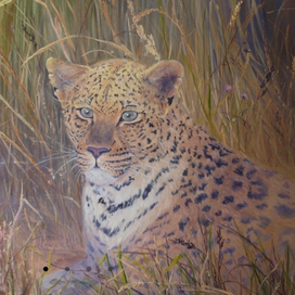 В гармонии с природой 