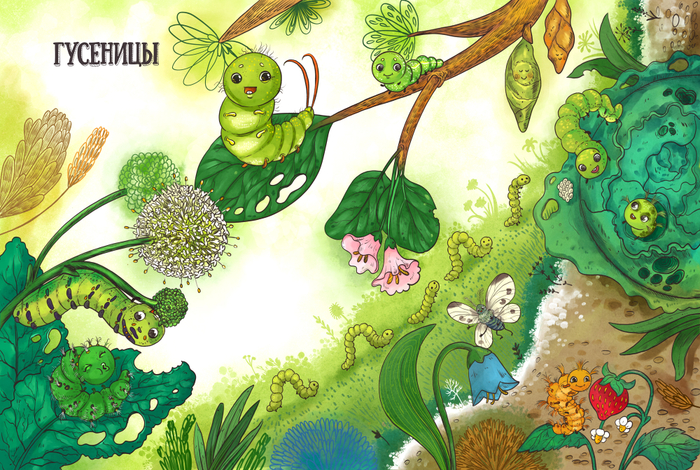Гусеницы