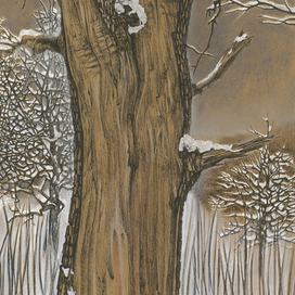 Зимние деревья