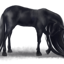 Вороной конь