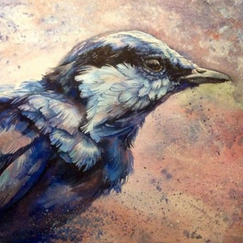 Синяя птичка 