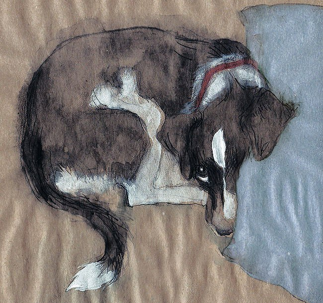 Портрет собаки Пули 1