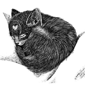 Иллюстрация к книге "Долгая дорога домой" издательства Феникс-Премьер