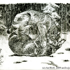 Гибель Одноглазого