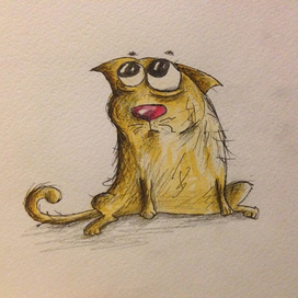 задумчивый кот