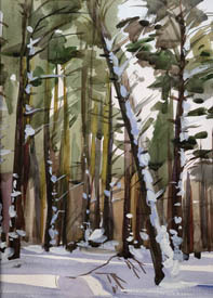 Сосновый бор 2