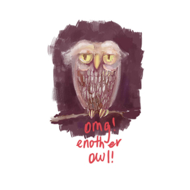 Oh, my God! Enother Owl!