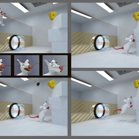 несколько кадров 