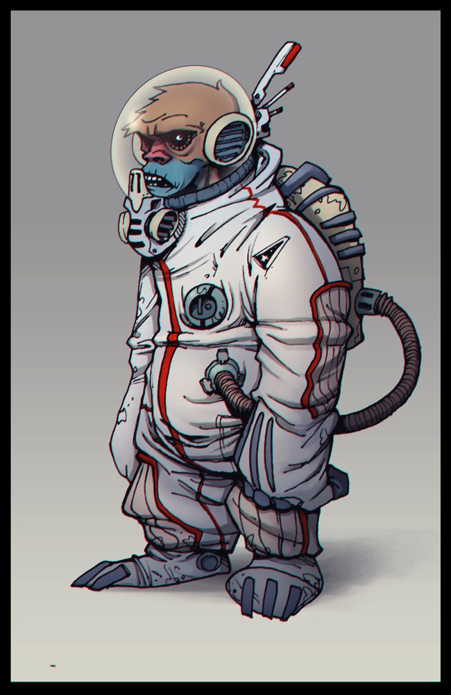 Space monkey
