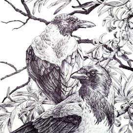 Иллюстрация "Вороны и облепиха"