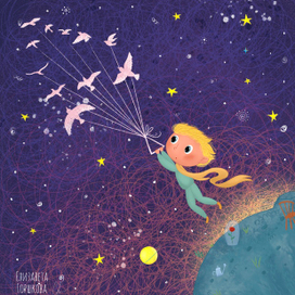 Полёт маленького принца