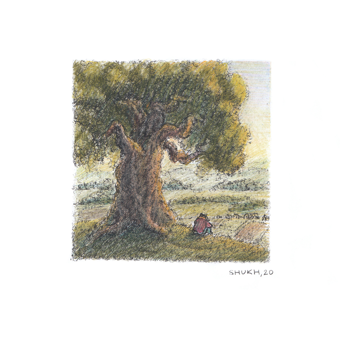 Теплый летний день