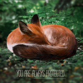 Fox/ you are always protcted