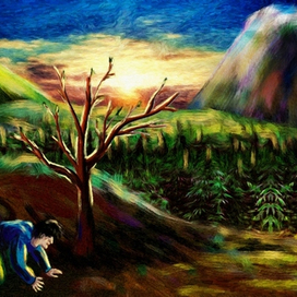 на рассвете