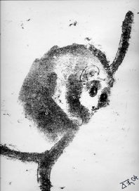 наблюдающий , монотипия