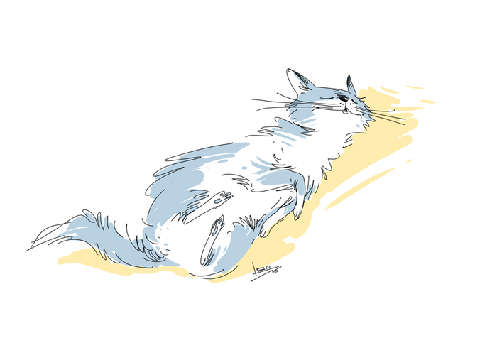 Работа у нас такая...