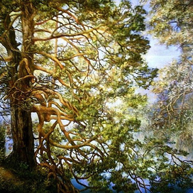 Утром на старице Немана