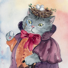 Кот с гнездом на голове