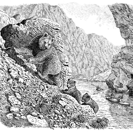 Сплав по Чаткалу.