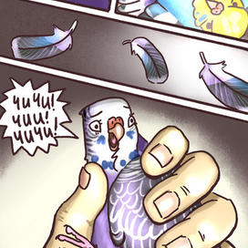 Комикс "Чика" о приключениях волнистого попугайчика