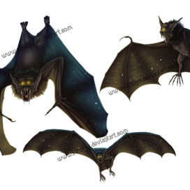 Летучая мышь