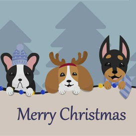 Новогодняя открытка с собаками 
