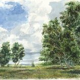 зарисовки с натуры