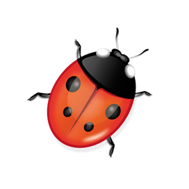 ladybird