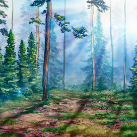 Скетч-Лесная полянка