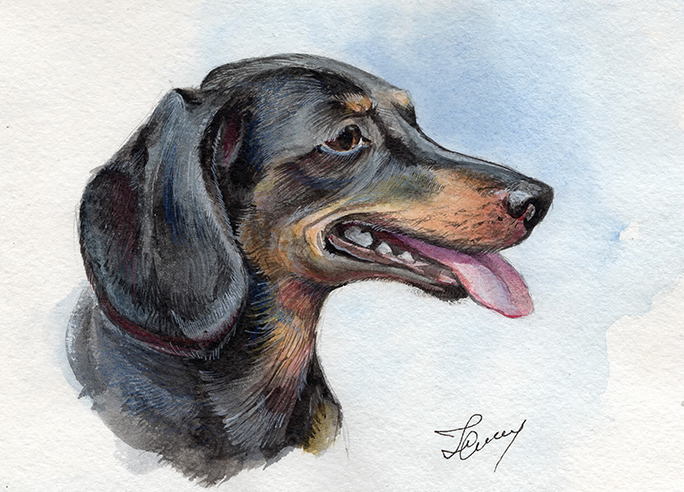 Чёрная такса