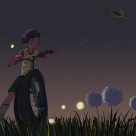 Ночь. Звезды. Дракон