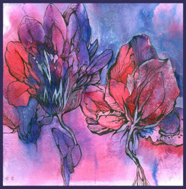 Сиреневые цветы