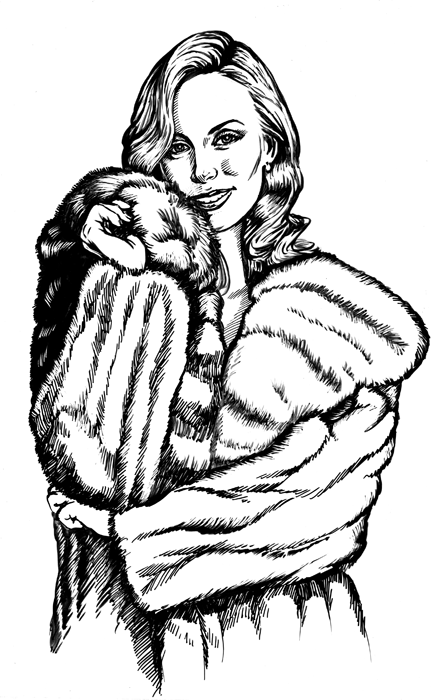 Иллюстрация для   рекламы бутика меховых изделий