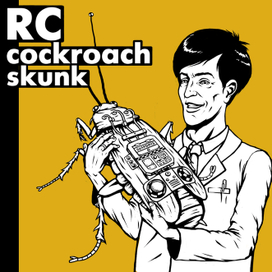 RC cockroach skunk