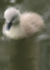 Будет лебедь