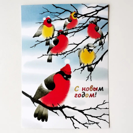 Птички открытка