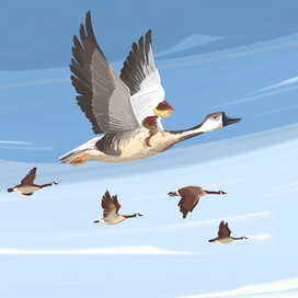 Путешествие Нильса...